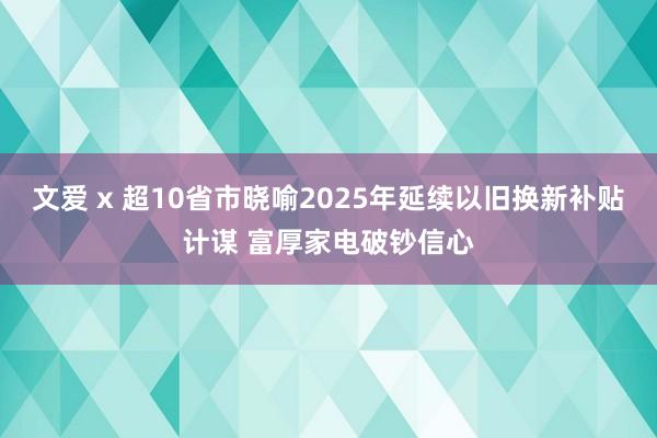 文爱 x 超10省市晓喻2025年延续以旧换新补贴计谋 富厚家电破钞信心