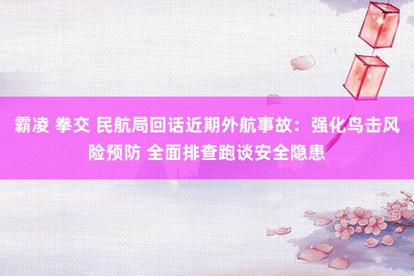 霸凌 拳交 民航局回话近期外航事故：强化鸟击风险预防 全面排查跑谈安全隐患