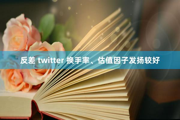 反差 twitter 换手率、估值因子发扬较好