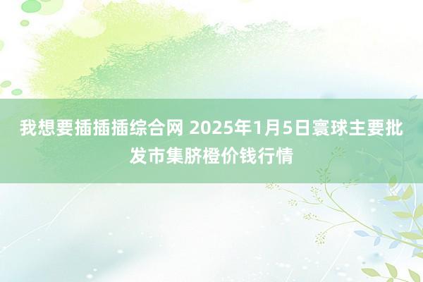 我想要插插插综合网 2025年1月5日寰球主要批发市集脐橙价钱行情