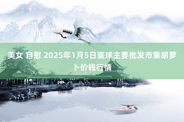 美女 自慰 2025年1月5日寰球主要批发市集胡萝卜价钱行情