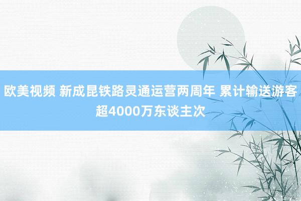 欧美视频 新成昆铁路灵通运营两周年 累计输送游客超4000万东谈主次