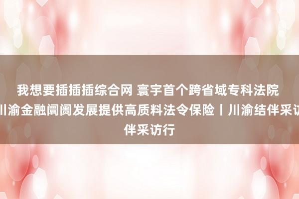 我想要插插插综合网 寰宇首个跨省域专科法院 为川渝金融阛阓发展提供高质料法令保险丨川渝结伴采访行