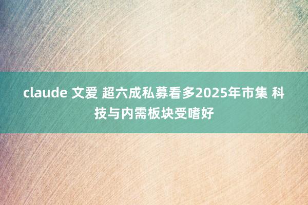 claude 文爱 超六成私募看多2025年市集 科技与内需板块受嗜好