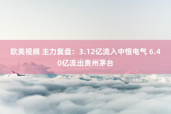 欧美视频 主力复盘：3.12亿流入中恒电气 6.40亿流出贵州茅台