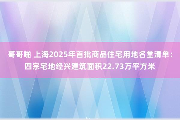 哥哥啪 上海2025年首批商品住宅用地名堂清单：四宗宅地经兴建筑面积22.73万平方米
