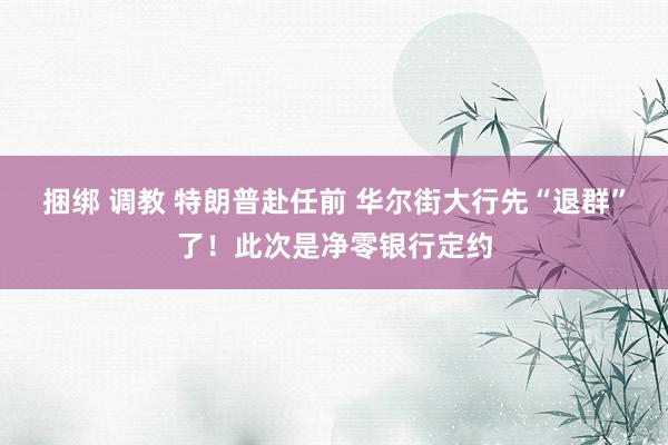 捆绑 调教 特朗普赴任前 华尔街大行先“退群”了！此次是净零银行定约