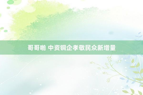 哥哥啪 中资铜企孝敬民众新增量