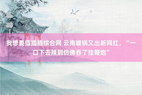 我想要插插插综合网 云南暖锅又出新网红，“一口下去辣到仿佛吞了挂鞭炮”
