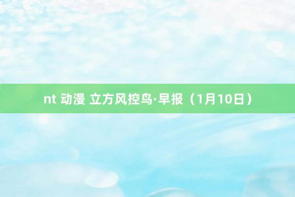 nt 动漫 立方风控鸟·早报（1月10日）