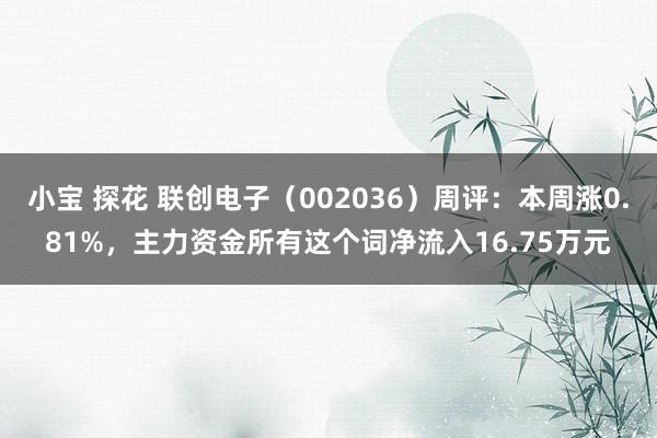 小宝 探花 联创电子（002036）周评：本周涨0.81%，主力资金所有这个词净流入16.75万元