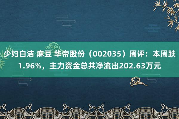 少妇白洁 麻豆 华帝股份（002035）周评：本周跌1.96%，主力资金总共净流出202.63万元