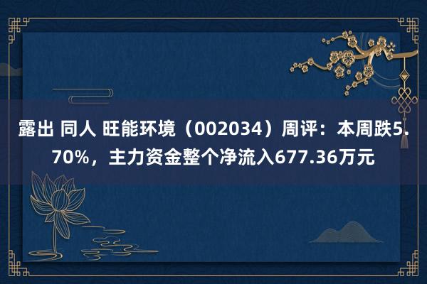 露出 同人 旺能环境（002034）周评：本周跌5.70%，主力资金整个净流入677.36万元