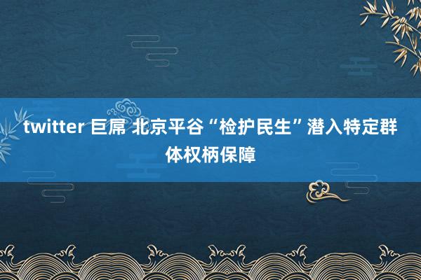 twitter 巨屌 北京平谷“检护民生”潜入特定群体权柄保障
