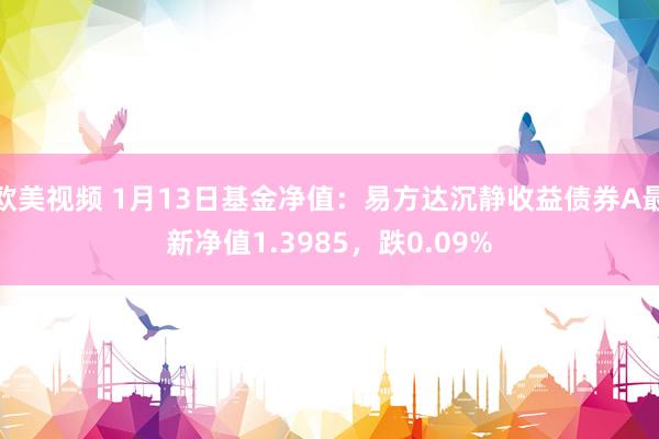 欧美视频 1月13日基金净值：易方达沉静收益债券A最新净值1.3985，跌0.09%