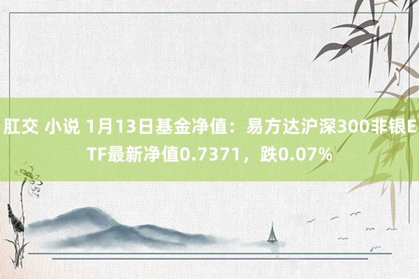 肛交 小说 1月13日基金净值：易方达沪深300非银ETF最新净值0.7371，跌0.07%