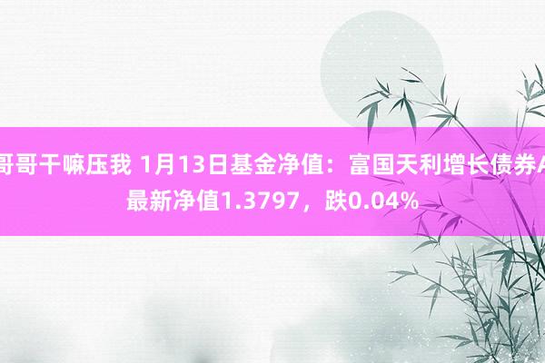哥哥干嘛压我 1月13日基金净值：富国天利增长债券A最新净值1.3797，跌0.04%