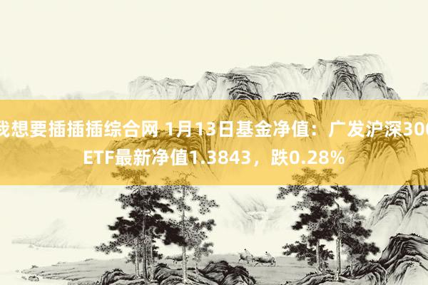 我想要插插插综合网 1月13日基金净值：广发沪深300ETF最新净值1.3843，跌0.28%