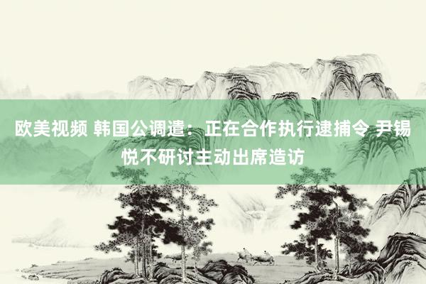 欧美视频 韩国公调遣：正在合作执行逮捕令 尹锡悦不研讨主动出席造访