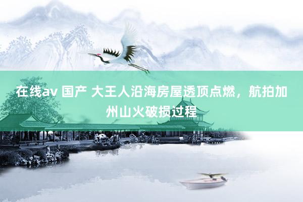 在线av 国产 大王人沿海房屋透顶点燃，航拍加州山火破损过程