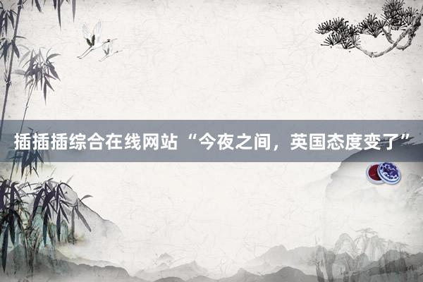 插插插综合在线网站 “今夜之间，英国态度变了”
