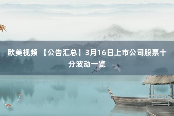 欧美视频 【公告汇总】3月16日上市公司股票十分波动一览