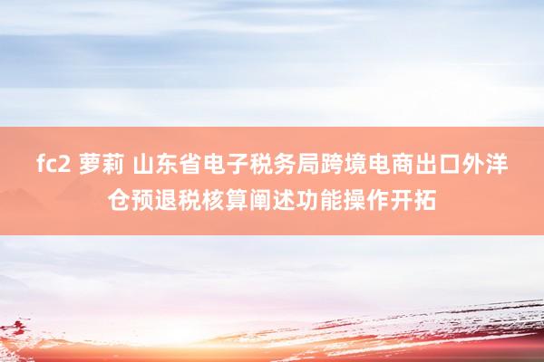 fc2 萝莉 山东省电子税务局跨境电商出口外洋仓预退税核算阐述功能操作开拓