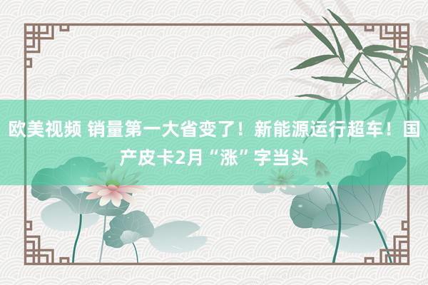 欧美视频 销量第一大省变了！新能源运行超车！国产皮卡2月“涨”字当头
