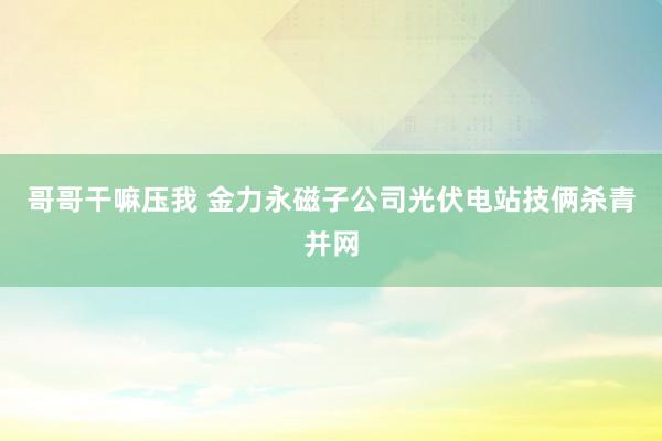 哥哥干嘛压我 金力永磁子公司光伏电站技俩杀青并网