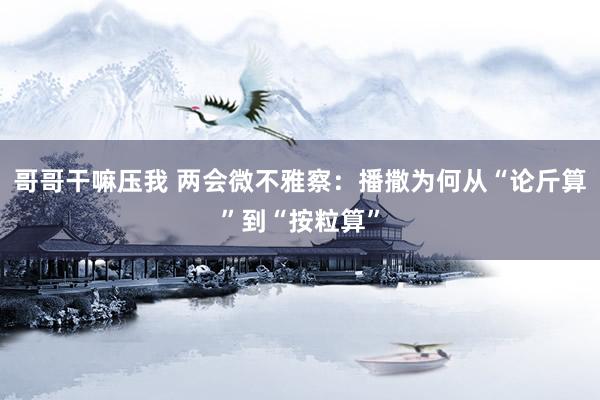 哥哥干嘛压我 两会微不雅察：播撒为何从“论斤算”到“按粒算”