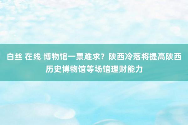 白丝 在线 博物馆一票难求？陕西冷落将提高陕西历史博物馆等场馆理财能力