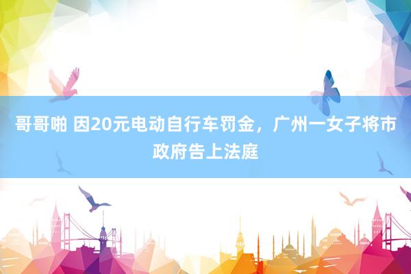哥哥啪 因20元电动自行车罚金，广州一女子将市政府告上法庭