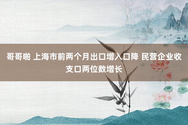 哥哥啪 上海市前两个月出口增入口降 民营企业收支口两位数增长