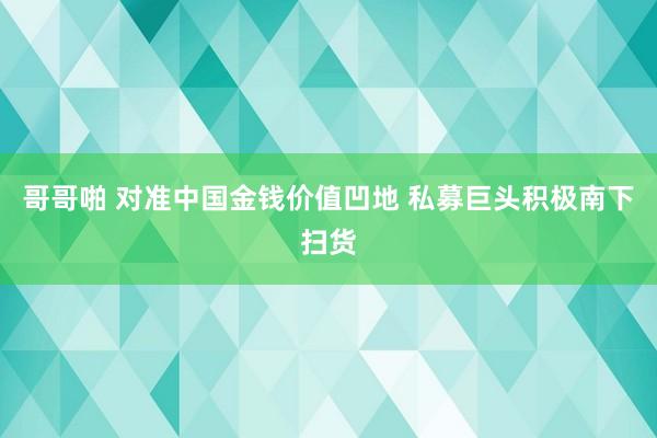 哥哥啪 对准中国金钱价值凹地 私募巨头积极南下扫货