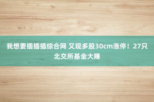 我想要插插插综合网 又现多股30cm涨停！27只北交所基金大赚