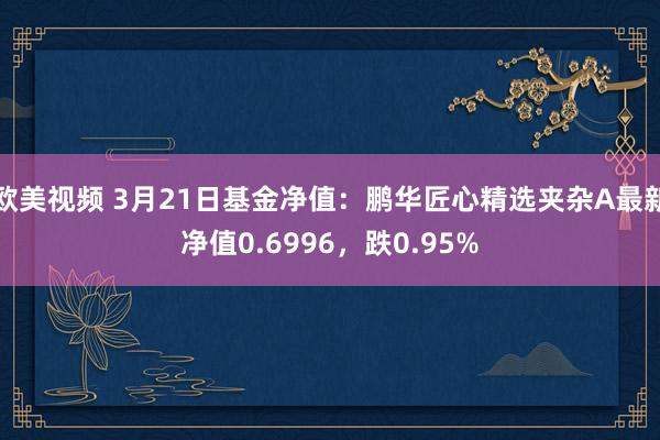 欧美视频 3月21日基金净值：鹏华匠心精选夹杂A最新净值0.6996，跌0.95%