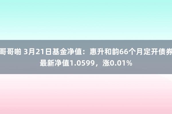 哥哥啪 3月21日基金净值：惠升和韵66个月定开债券最新净值1.0599，涨0.01%