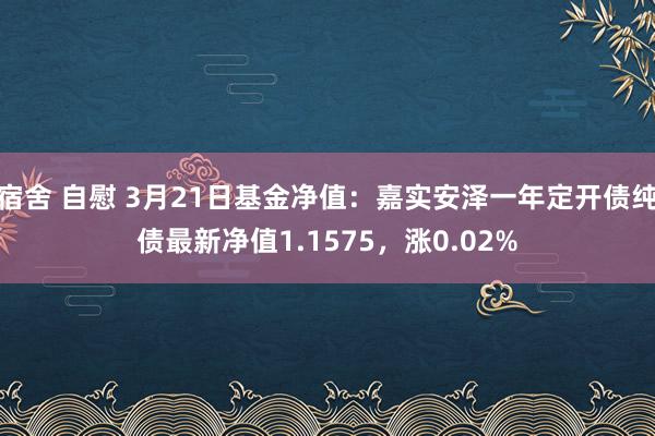 宿舍 自慰 3月21日基金净值：嘉实安泽一年定开债纯债最新净值1.1575，涨0.02%