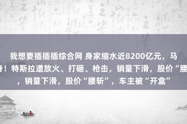 我想要插插插综合网 身家缩水近8200亿元，马斯克“参政”引火烧身！特斯拉遭放火、打砸、枪击，销量下滑，股价“腰斩”，车主被“开盒”