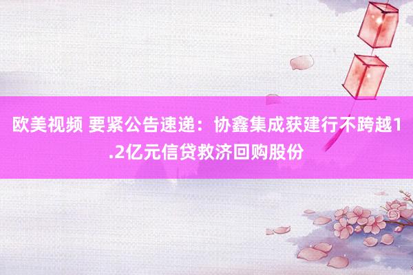 欧美视频 要紧公告速递：协鑫集成获建行不跨越1.2亿元信贷救济回购股份