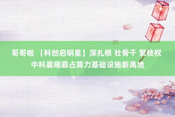 哥哥啪 【科创启明星】深扎根 壮骨干 繁枝杈 中科晨曦霸占算力基础设施新高地