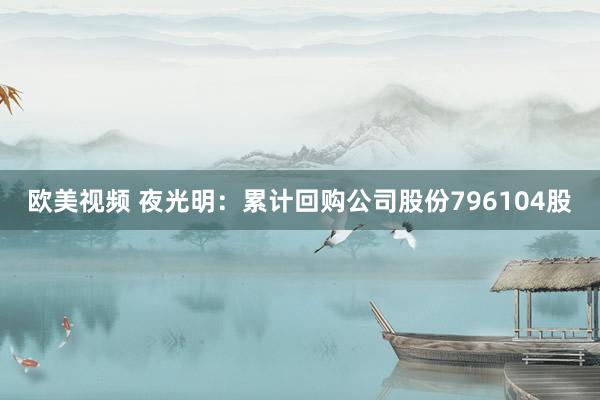 欧美视频 夜光明：累计回购公司股份796104股