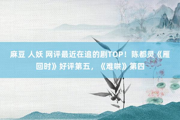 麻豆 人妖 网评最近在追的剧TOP！陈都灵《雁回时》好评第五，《难哄》第四