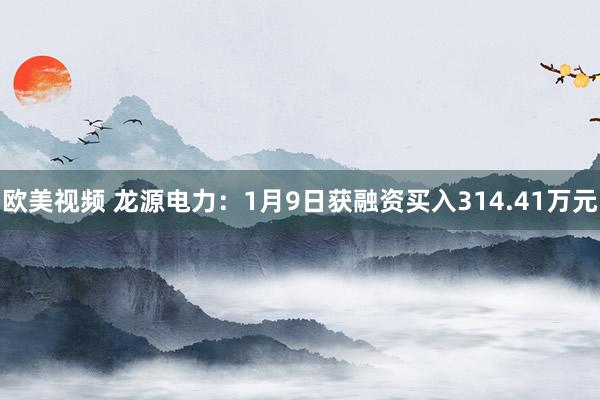 欧美视频 龙源电力：1月9日获融资买入314.41万元