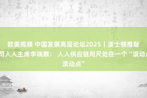 欧美视频 中国发展高层论坛2025丨波士顿推敲公司人人主席李瑞麒： 人人供应链咫尺处在一个“滚动点”