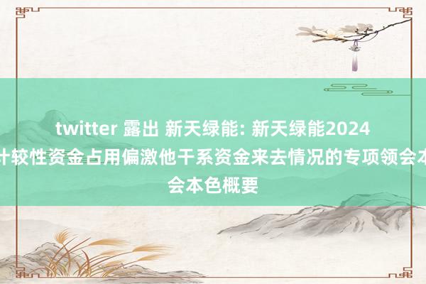 twitter 露出 新天绿能: 新天绿能2024年度非计较性资金占用偏激他干系资金来去情况的专项领会本色概要