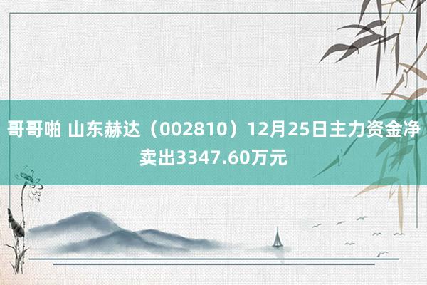哥哥啪 山东赫达（002810）12月25日主力资金净卖出3347.60万元