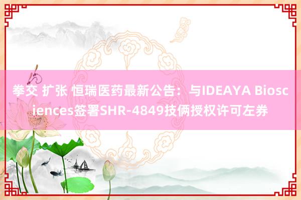 拳交 扩张 恒瑞医药最新公告：与IDEAYA Biosciences签署SHR-4849技俩授权许可左券