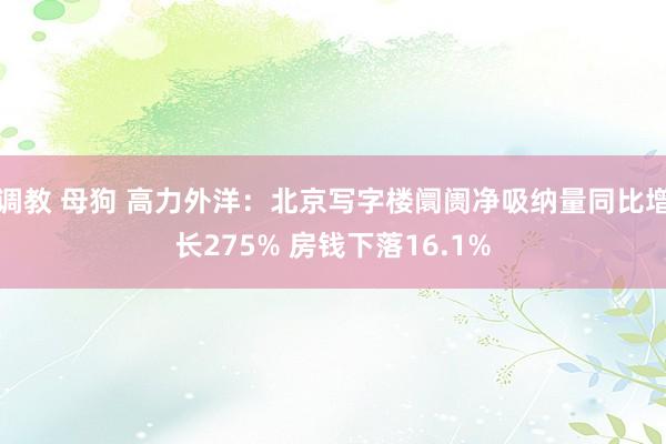 调教 母狗 高力外洋：北京写字楼阛阓净吸纳量同比增长275% 房钱下落16.1%