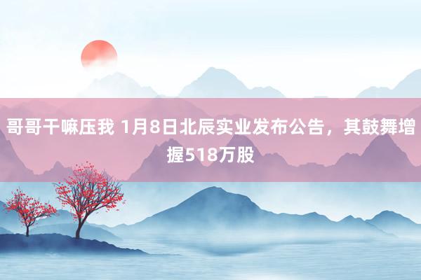 哥哥干嘛压我 1月8日北辰实业发布公告，其鼓舞增握518万股